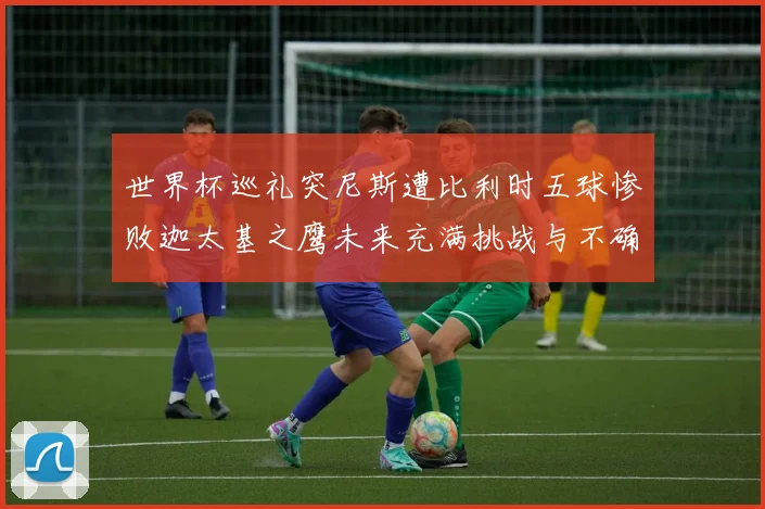 世界杯巡礼突尼斯遭比利时五球惨败迦太基之鹰未来充满挑战与不确定性